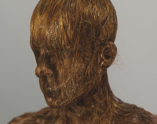 Natural Transfers III (2009)