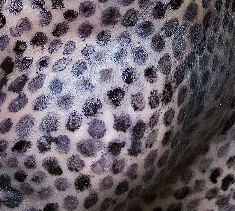 Ballpoints | Dots Detail