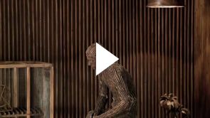 Origin of the Beginning 2.4 | 2.12 min | loop | full HD